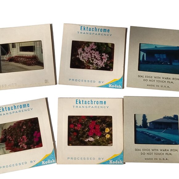 Vintage Zadiix Slide Viewer, Royal De-Luxe, with 6 Slides - Picture 7 of 15